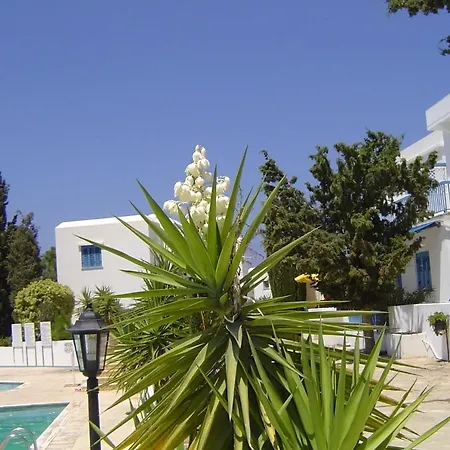 Ikaria Village Maisonette 12 شقة بافوس