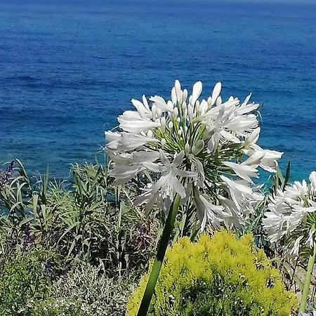 Ikaria Village Maisonette 12