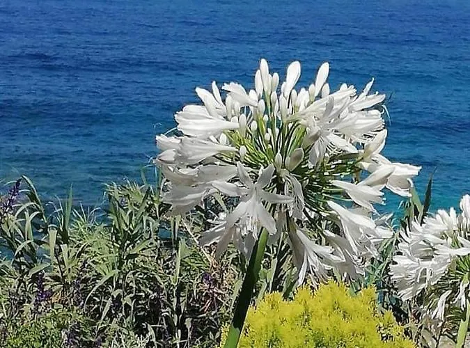 Ikaria Village Maisonette 12