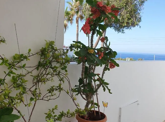 Apartamento Ikaria Village Maisonette 12 Pafos